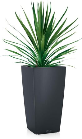 Lechuza Cubico Color 40 - Комплект для вирощування, сірий шифер, 39.5x39.5x75.5 см