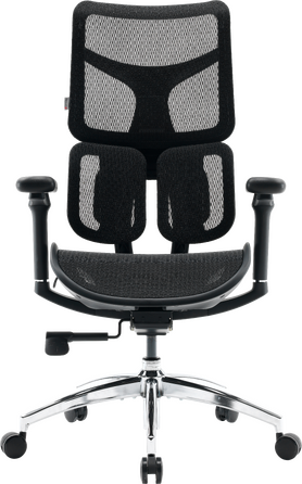 Крісло офісне Sihoo DORO S100 Mesh Black