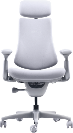 Крісло офісне ергономічне LiberNovo Omni Space Gray 48 см