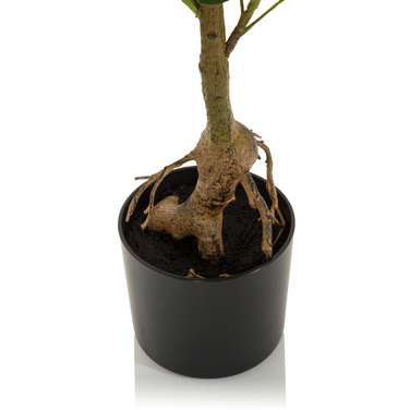 Штучна рослина / Штучне дерево SCHEFFLERA Radiant Aralia 90 см Пластик зелений hjh ОФІС