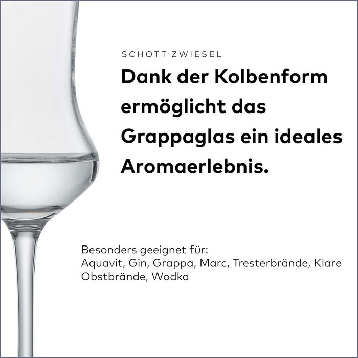 Пивний кухоль SCHOTT ZWIESEL Convention 0,2 л (набір з 6 штук), простий пивний келих Pilsner, келихи з тританового кришталю, які можна мити в посудомийній машині, виробництво Німеччина (артикул 175500) (пивний келих - 0,32 л, набір Classico Digestif (nab)