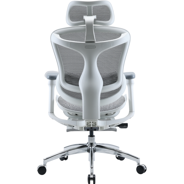 Крісло офісне з підставкою для ніг Sihoo DORO C300L Mesh White with footrest