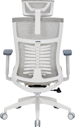 Крісло офісне OfficePro Balance OC620-W-LG-LG