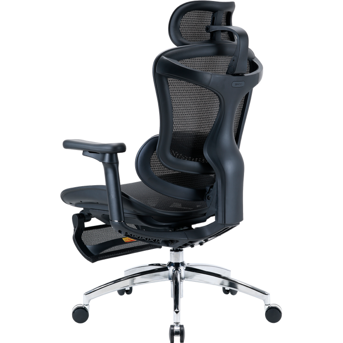 Крісло офісне з підставкою для ніг Sihoo DORO C300L Mesh Black with footrest
