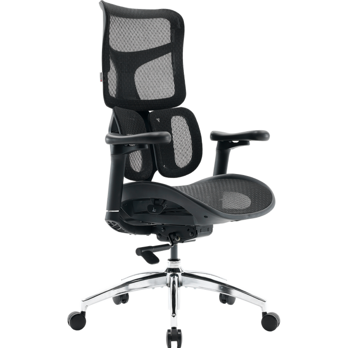 Крісло офісне Sihoo DORO S100 Mesh Black