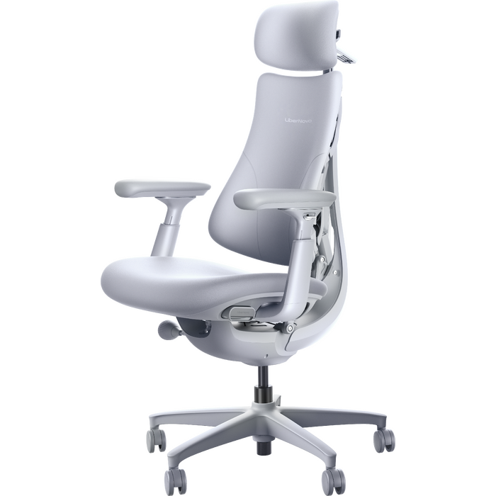 Крісло офісне ергономічне LiberNovo Omni Space Gray 48 см
