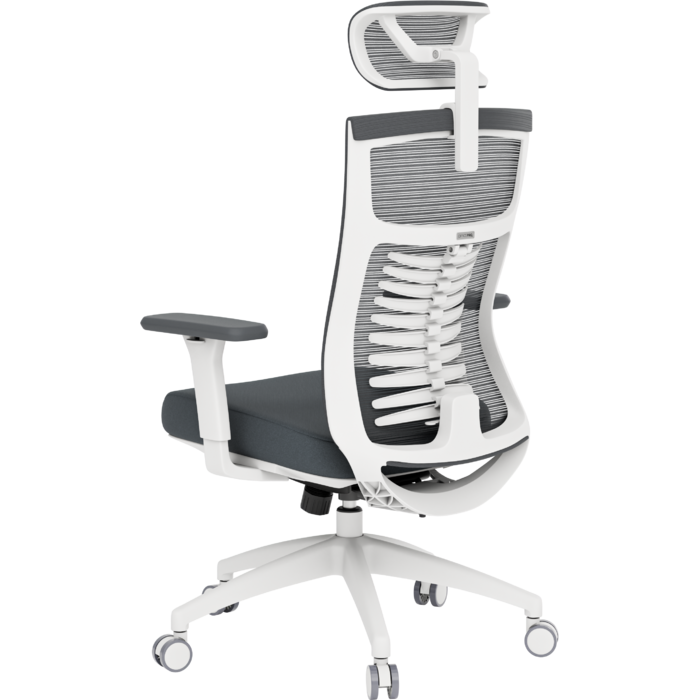 Крісло офісне OfficePro Balance OC550-W-DG-DG