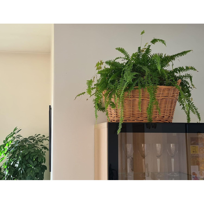 Кошик для білизни з лози Wäschebox, розміри S M X XL, 50-80 см