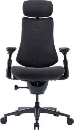 Крісло офісне ергономічне LiberNovo Omni Pro Graphite 48 см