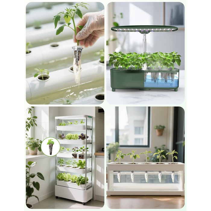Набір для вирощування трав у приміщенні на 15 посадкових місць, Smart Garden з таймером, LED-освітлення повного спектру, регульована висота, 5L бак (набір для поповнення)