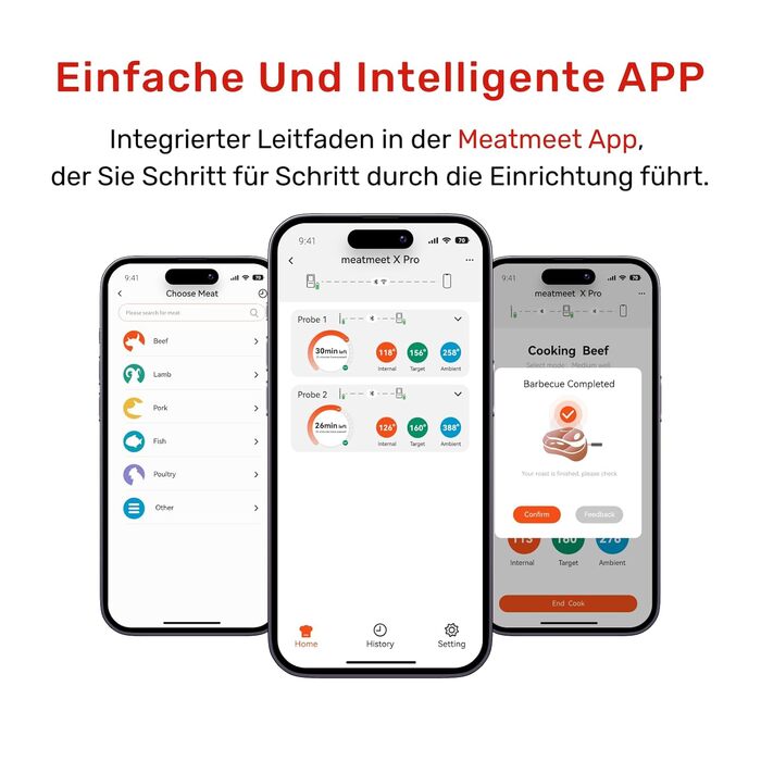 Smart термометр для м'яса Meatmeet X Pro з Bluetooth та Wi-Fi, 2 зонди, 6 сенсорів, нержавіюча сталь, IP69, до 582°C, для гриля, духовки, фритюрниці