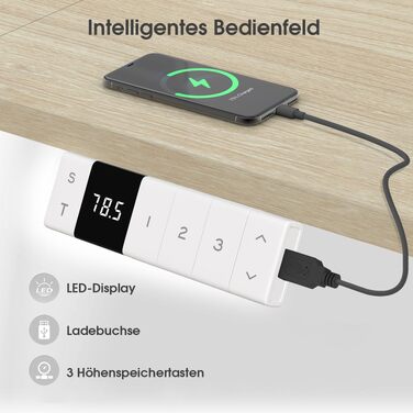 Регульований по висоті офісний стіл TRIUMPHKEY 120x80 см з USB-C, лотком для кабелів, пам'яттю на 3 положення, бежевий