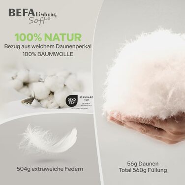 BEFA SOFT Пухова ковдра зимова 100x135 см | Пухова ковдра з 90% пуху та 10% пера | Дихаюча та легка у догляді | Для алергіків (NOMITE) | Відповідає стандартам добробуту тварин (DOWNPASS) | Oeko-TEX Клас 1 | Зроблено в Німеччині
