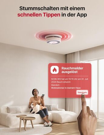 X-Sense Детектор диму та CO з Wi-Fi, 2-в-1, SC06-WX, 1 шт.