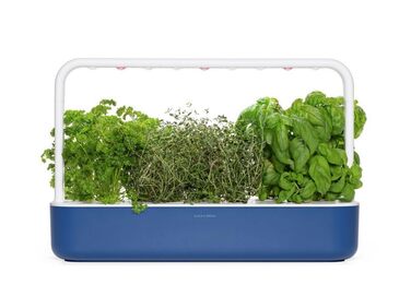 Click and Grow Indoor Garten: Розумний сад для вирощування зелені вдома з LED, 9 капсул (Синій)