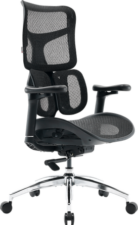 Крісло офісне Sihoo DORO S100 Mesh Black