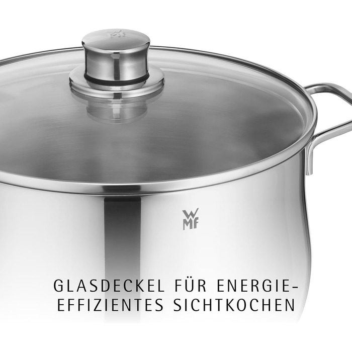 Каструля WMF Diadem Plus для індукційних плит 20 см, 3.7 л, зі сталі, підходить для посудомийки