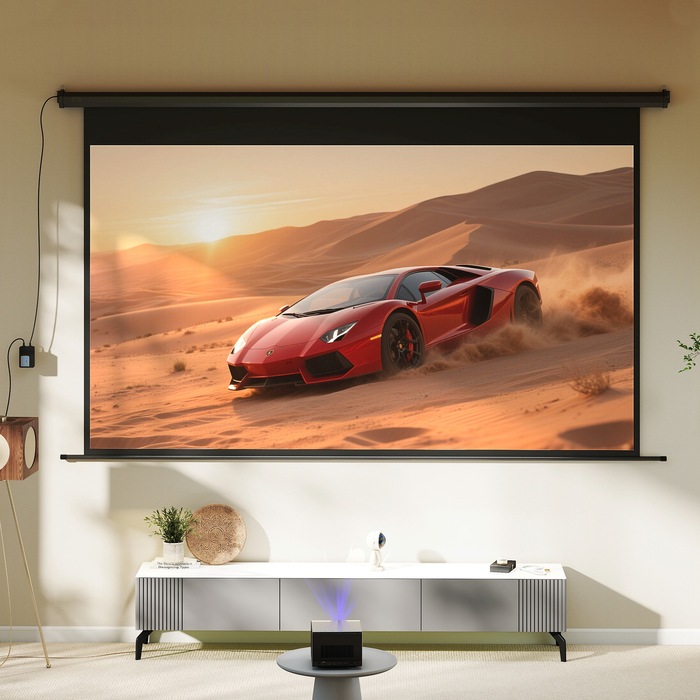 Екран проекційний Beamer-Leinwand, формат 16:9, з пультом дистанційного керування, розміром 266 x 149 см (120 дюймів), чорного кольору