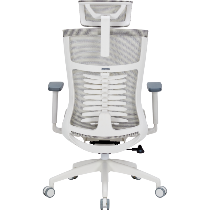 Крісло офісне OfficePro Balance OC620-W-LG-LG