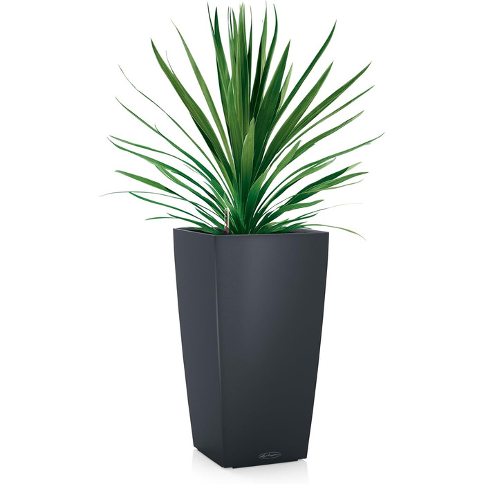 Lechuza Cubico Color 40 - Комплект для вирощування, сірий шифер, 39.5x39.5x75.5 см