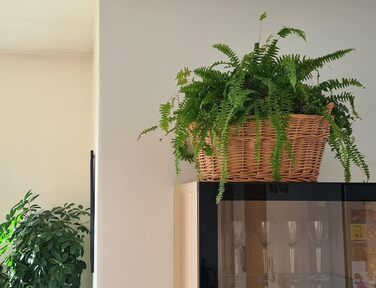 Кошик для білизни з лози Wäschebox, розміри S M X XL, 50-80 см