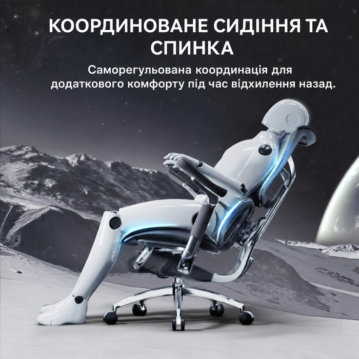 Ергономічне офісне крісло SIHOO Doro S300 black
