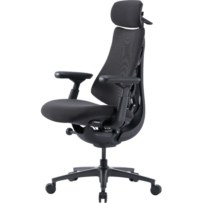 Крісло офісне ергономічне LiberNovo Omni Pro Graphite 48 см