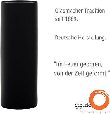 Коктейльні склянки Matte Black для коктейлів Campari Tumblers 320 мл Набір із 6 предметів Чорний Нью-Йоркський бар Stölzle Lausitz