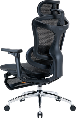Крісло офісне з підставкою для ніг Sihoo DORO C300L Mesh Black with footrest