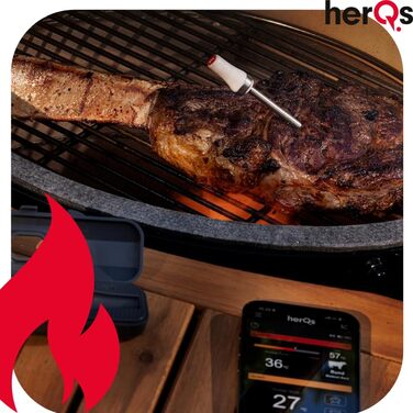 HerQs Pin Probe – бездротовий Bluetooth термометр для м'яса до 500°C, для гриля, духовки, сковороди, аерофритюрниці та Sous-Vide