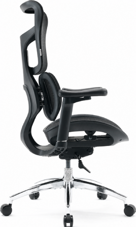 Крісло офісне Sihoo DORO S100 Mesh Black
