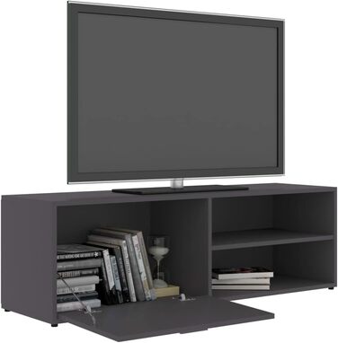 vidaXL ТВ тумба з дверцятами та полицями, сіра, 120x34x37 см, ДСП
