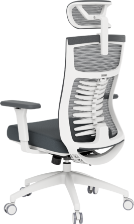 Крісло офісне OfficePro Balance OC550-W-DG-DG