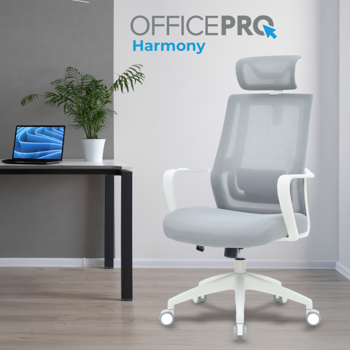 Крісло офісне OfficePro Harmony OC310-W-LG-LG