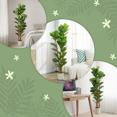 Штучна фіганова пальма (Ficus lyrata) у горщику, з 71 листям, масивний дерев'яний стовбур, 50 x 50 x 150 см, зелена