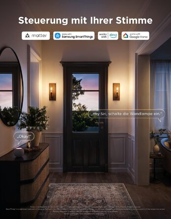 Розумна LED лампа Govee Smart Edison E27 RGBWW, 500лм, димнування, форма ST64, набір 2 шт