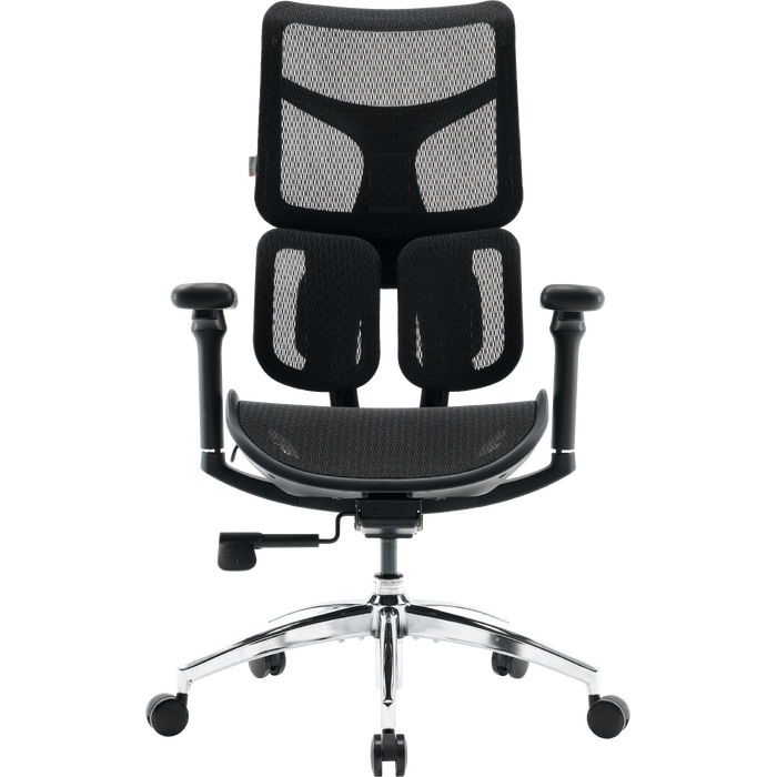 Крісло офісне Sihoo DORO S100 Mesh Black