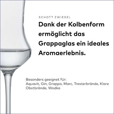 Пивний кухоль SCHOTT ZWIESEL Convention 0,2 л (набір з 6 штук), простий пивний келих Pilsner, келихи з тританового кришталю, які можна мити в посудомийній машині, виробництво Німеччина (артикул 175500) (пивний келих - 0,32 л, набір Classico Digestif (nab)