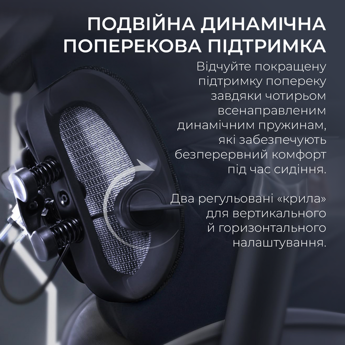 Крісло офісне Sihoo DORO S300 Mesh Dark Grey