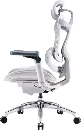 Крісло офісне Sihoo DORO C300 Pro Mesh White