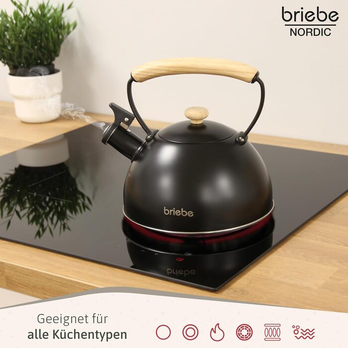 Тостер Briebe Nordic на 2 тости з широкими слотами та підставкою для булочок, 6 рівнів підсмажування + Електричний чайник індукційний 2.3л, нержавіюча сталь, BPA-free, Набір для сніданку в скандинавському стилі (Чорний)