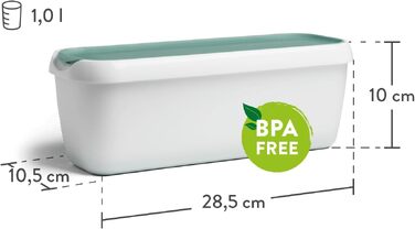 Контейнери для морозива SPRINGLANE, 2 шт., 1 л, м'ятний, BPA-free, харчовий пластик, для зберігання та заморожування