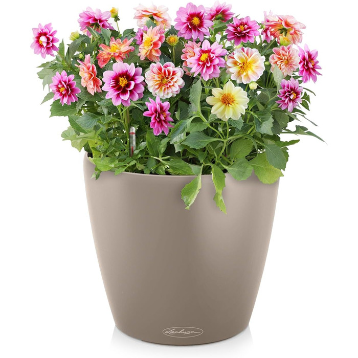 Горщик для квітів LECHUZA CLASSICO Color 35 Sandbraun (19x19x17 см)