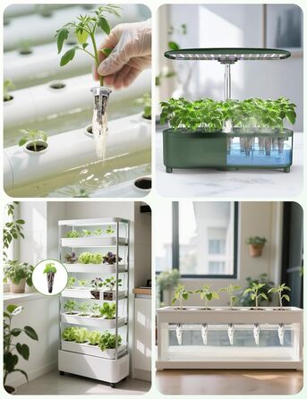 Набір для вирощування трав у приміщенні на 15 посадкових місць, Smart Garden з таймером, LED-освітлення повного спектру, регульована висота, 5L бак (набір для поповнення)