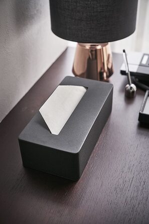Диспенсер для косметичних серветок YAMAZAKI Tissue Case