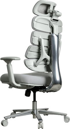 Крісло комп’ютерне офісне ергономічне OfficePro FlexCore OC120G