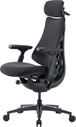 Крісло офісне ергономічне LiberNovo Omni Pro Graphite 48 см