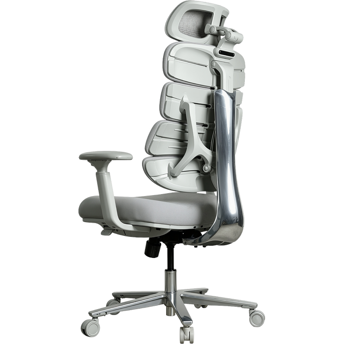 Крісло комп’ютерне офісне ергономічне OfficePro FlexCore OC120G