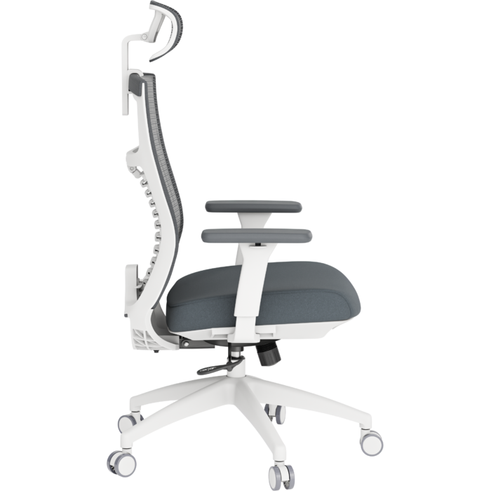 Крісло офісне OfficePro Balance OC550-W-DG-DG