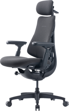 Крісло офісне ергономічне LiberNovo Omni Gen Graphite 48 см